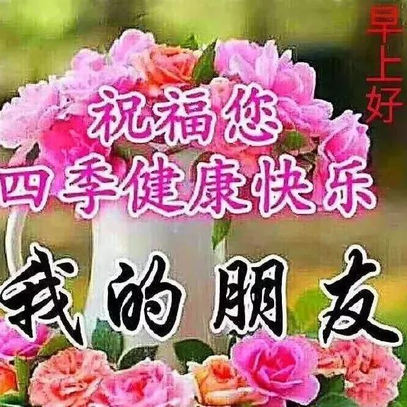 早晨好 愿我的问候给你带来快乐