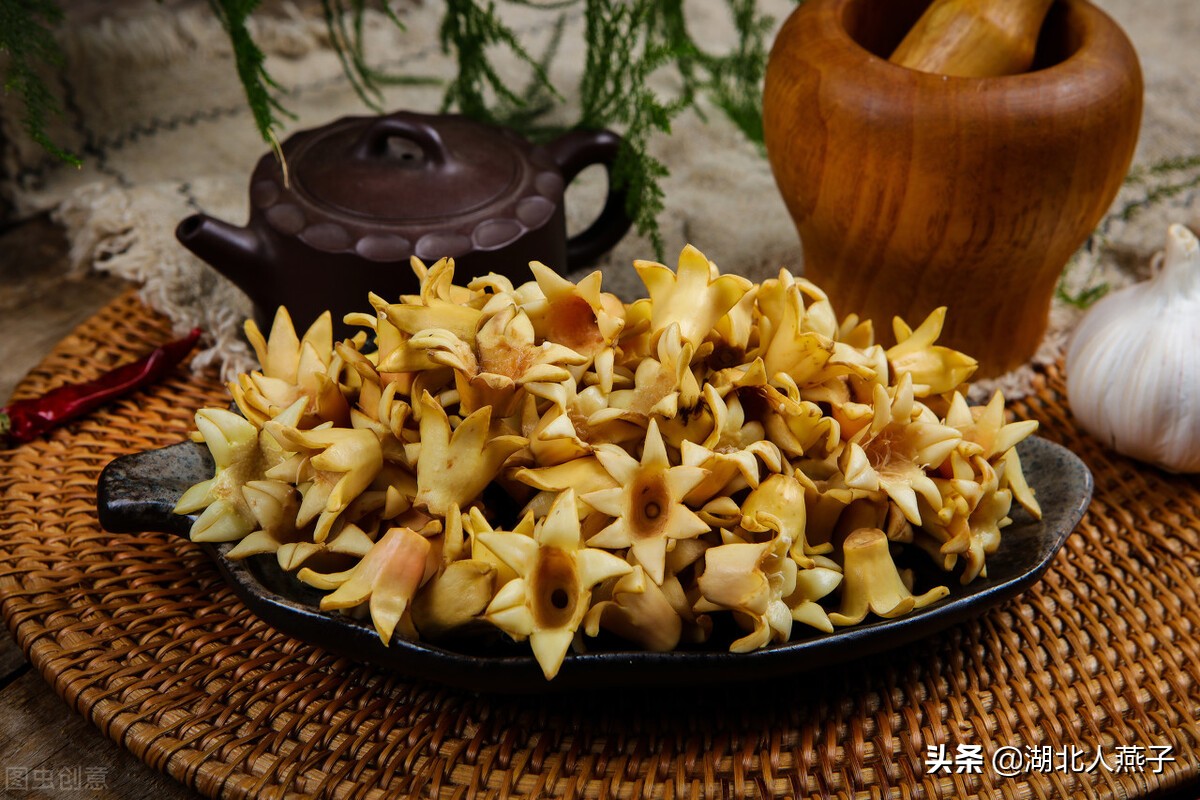 农村能吃的野菜100种大全(教你认识100种野菜和吃法)