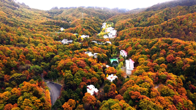 夏日旅游河南省哪十个地方最值得去看看？