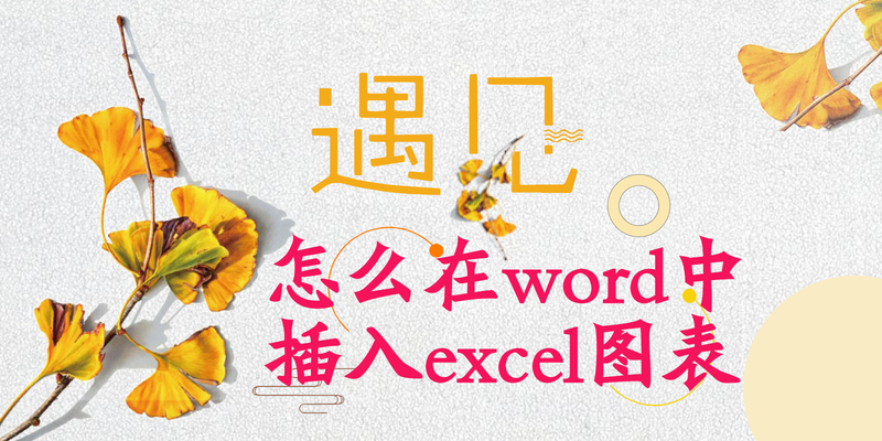 怎么在word中插入excel图表(word怎么引用excel表格)