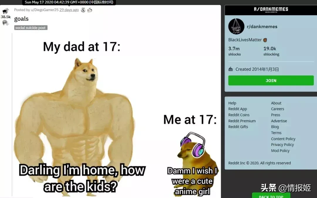 那只活在表情包里的柴犬doge,现在又进化了?