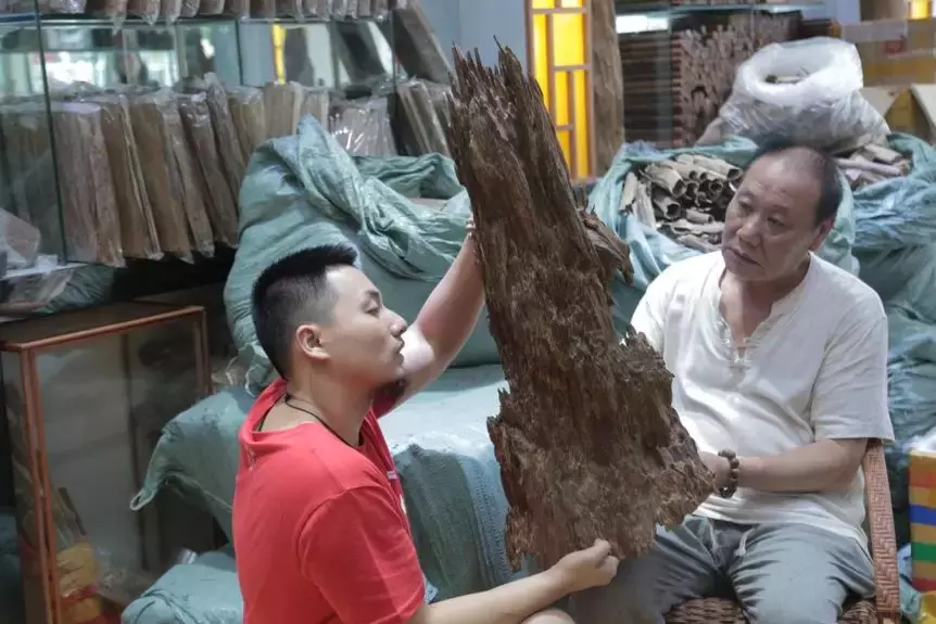 65岁沉香玩家，一块料800万卖台湾人，在印尼被华人骗手指被砍掉