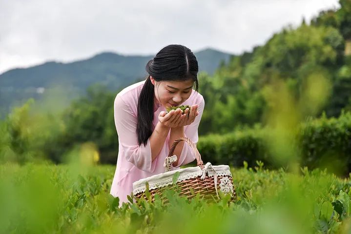 总书记为何倡导农民合作社？——中国农民专业合作社面面观