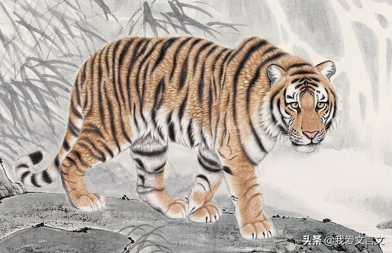 经典文言文赏析 | 小儿不畏虎