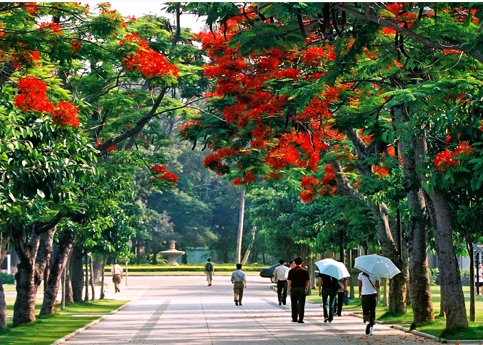 这3所大学是会计人的圣地，考进就是“金饭碗”，就业超稳定