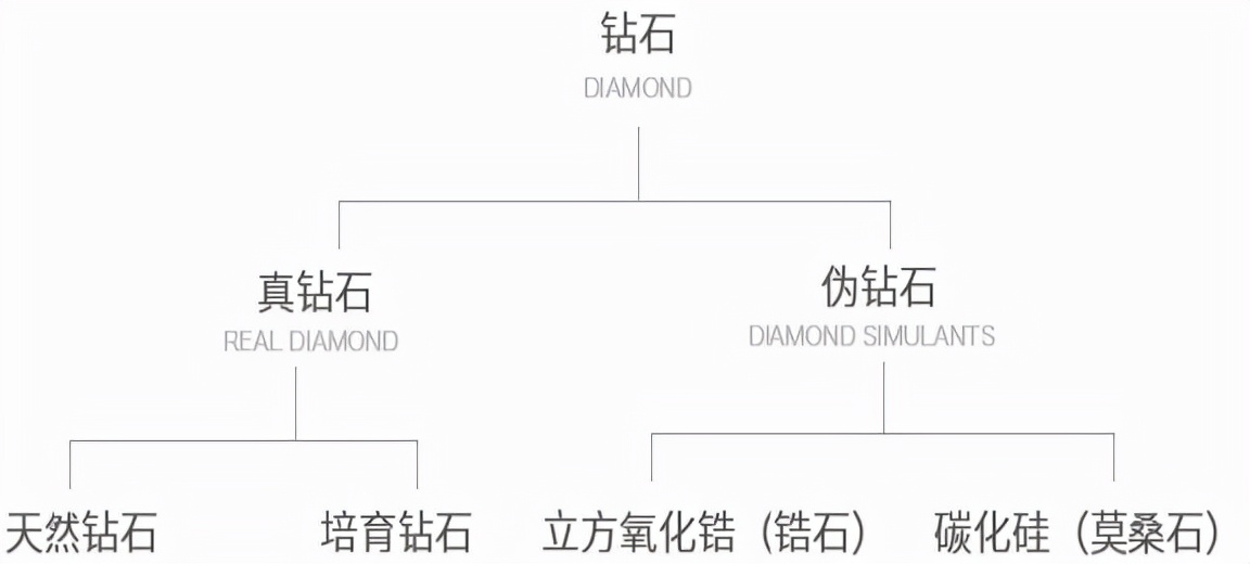 星空行研︱培育钻石，业绩也闪光吗？