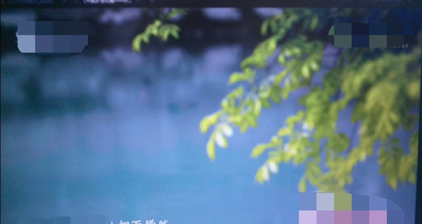 小可的香水王國