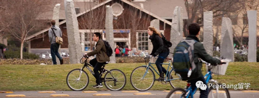 美国前40里，录取率最友好的UC大学是哪所？