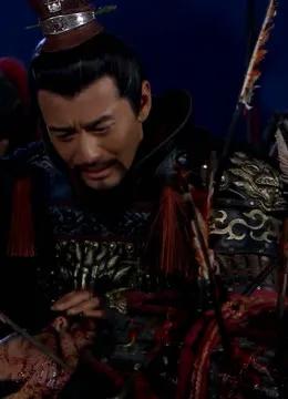 千古猛将杨再兴，一位勇猛程度超过演义小说的大好男儿