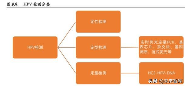 宫颈癌早筛专题报告：细胞学检测 AI与HPV检测是未来趋势