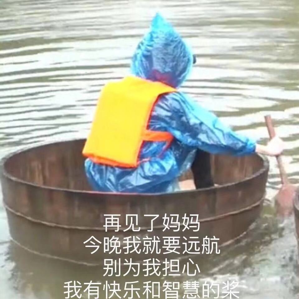 表情包：我走了 不用找我