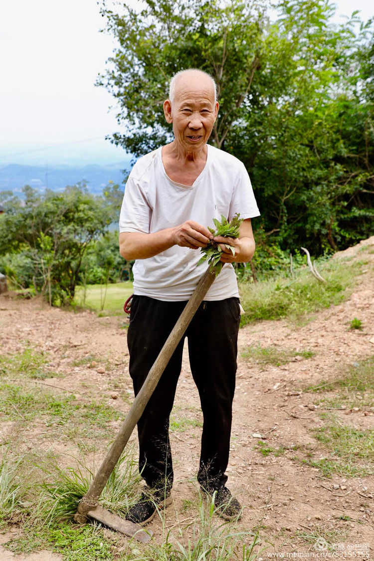 10月7日重阳节，十几首诗词100幅照片，致敬天下老年人