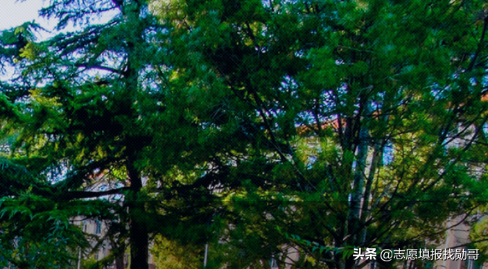 这所不输985的“领域强校”，录取分数“非常高”，很适合学霸