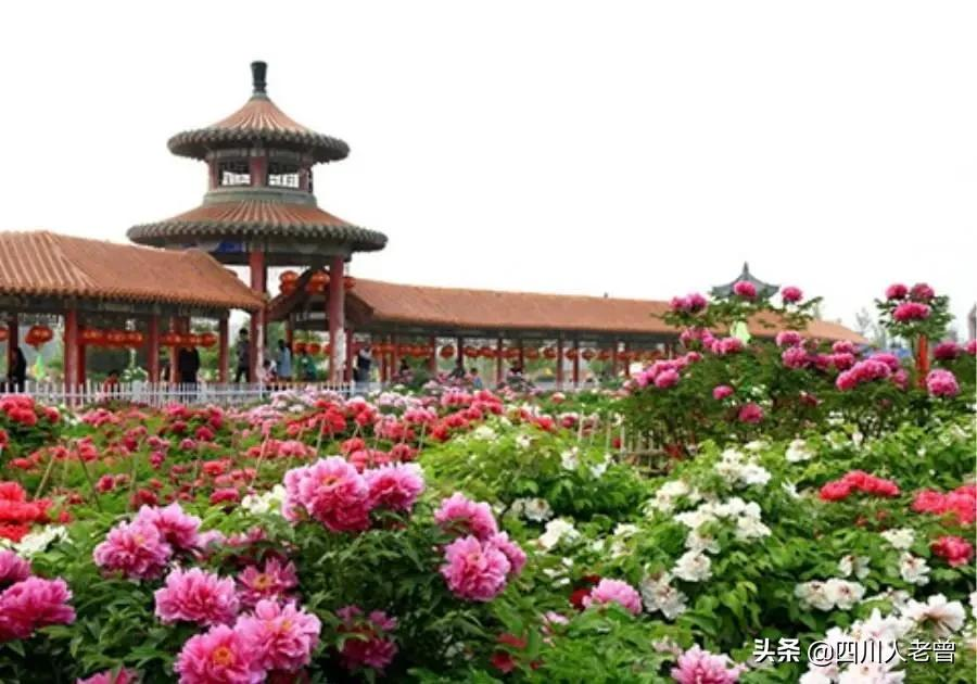 菏泽市下辖七县历史沿革考
