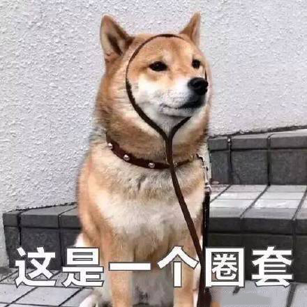 沙雕柴犬的表情包｜野心不大，你和天下