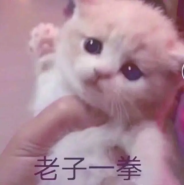 适合给男朋友发的猫猫表情包