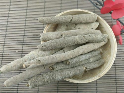 紫梢花的功效与作用(详解紫梢花的药用价值)