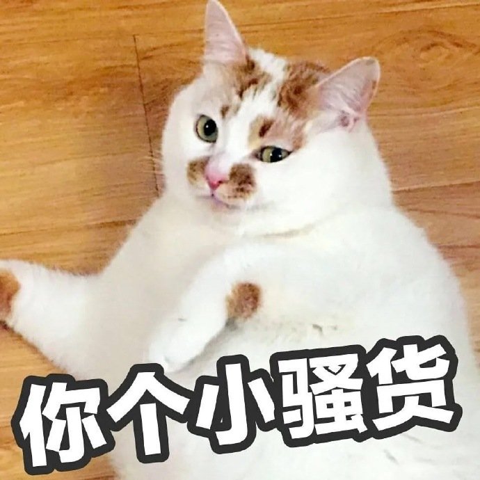 猫咪斗图表情包合集有没有想我鸭