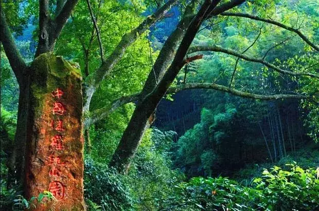 还有9天，贵州人集体放假！85个度假胜地马上安排！