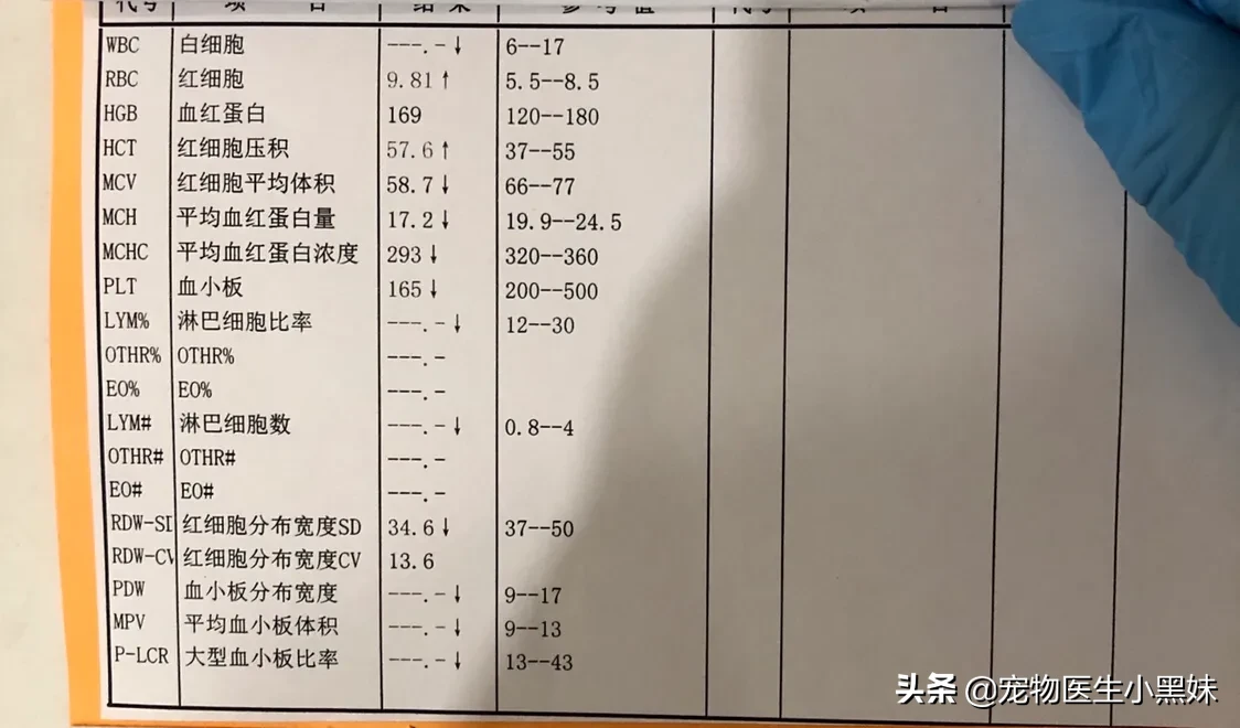 细小是绝症吗？你了解细小吗？让我来为您解答。