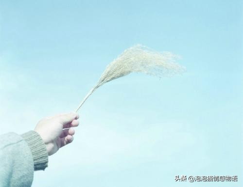 谁不是在崩溃的边缘撑着笑脸（值得收藏的句子）