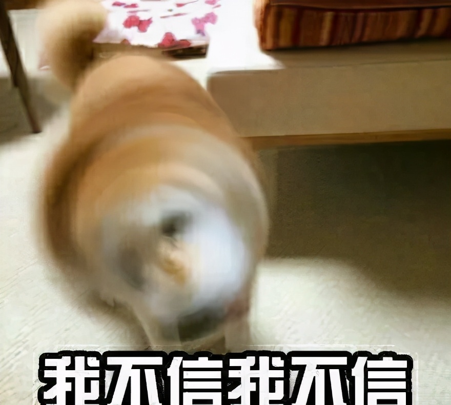 网购火车票技巧,网购火车票技巧大全