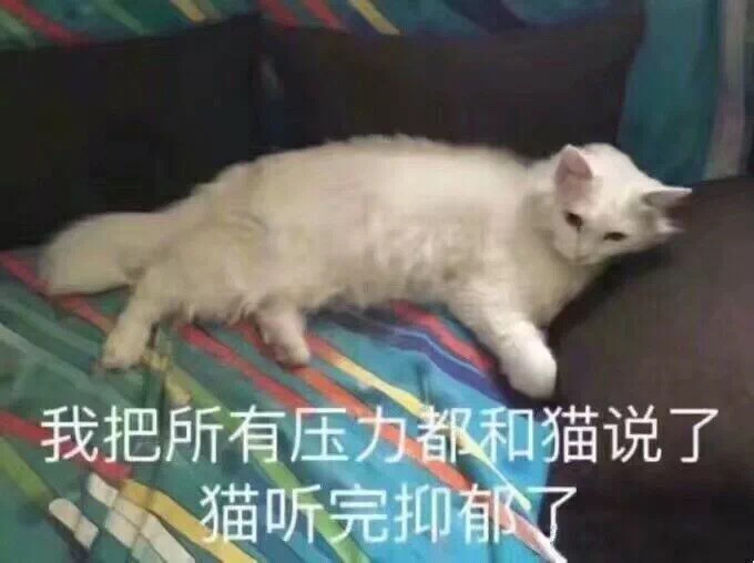 表情包：我把所有的压力给猫说完，猫抑郁了