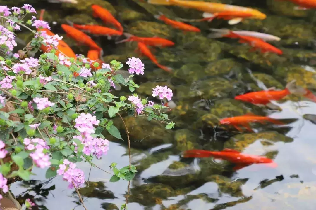 高考全省前50学霸：广州21席，深圳15席，珠海一中全省第一