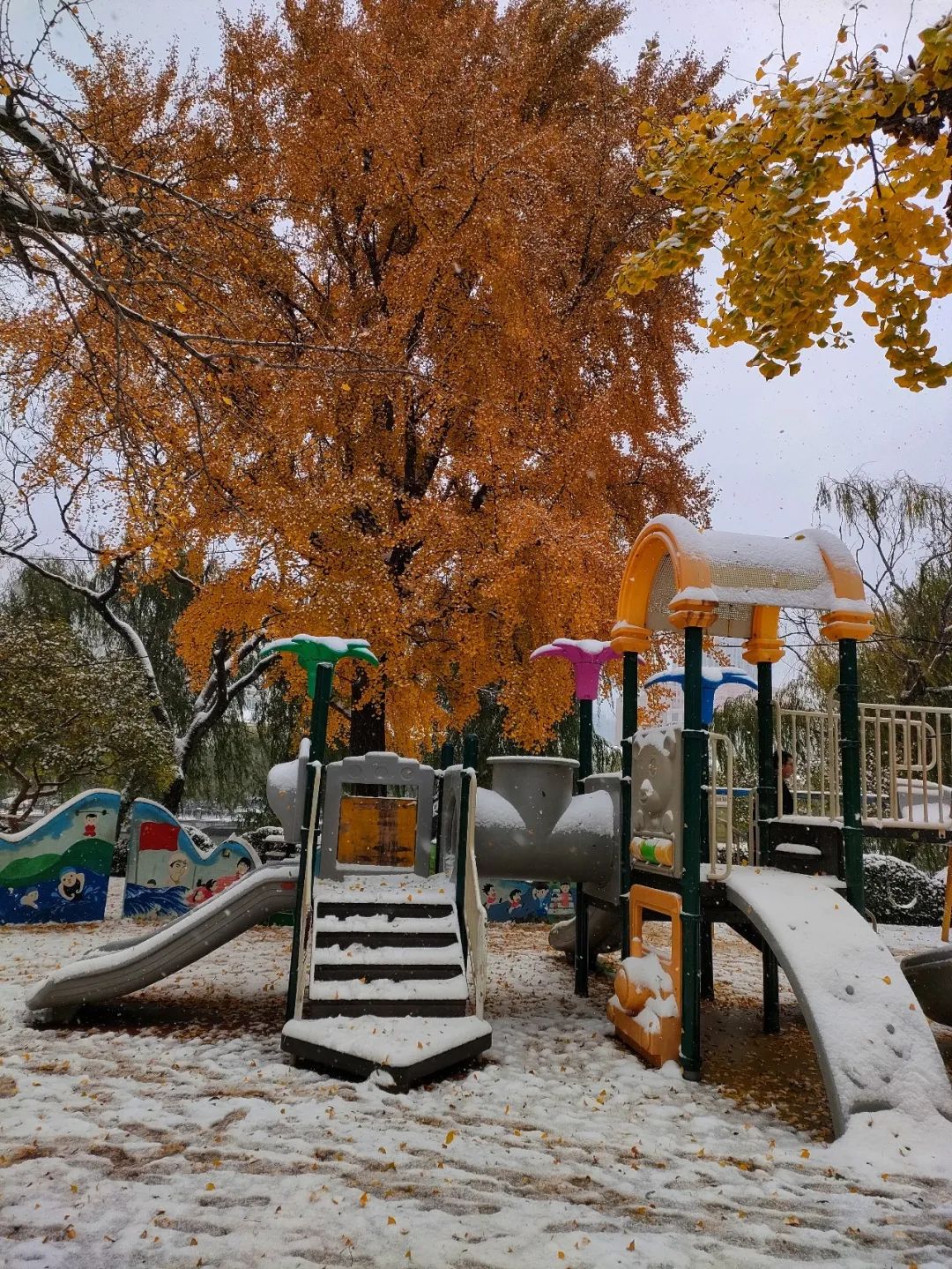 秋与冬的相遇，大连下雪了