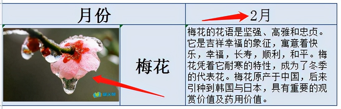 在WPS表格中通过查找信息1秒显示图片方法