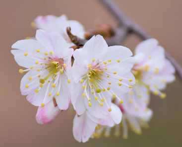 湖北经济学院2016-2018本科各省录取分数线（理工类）