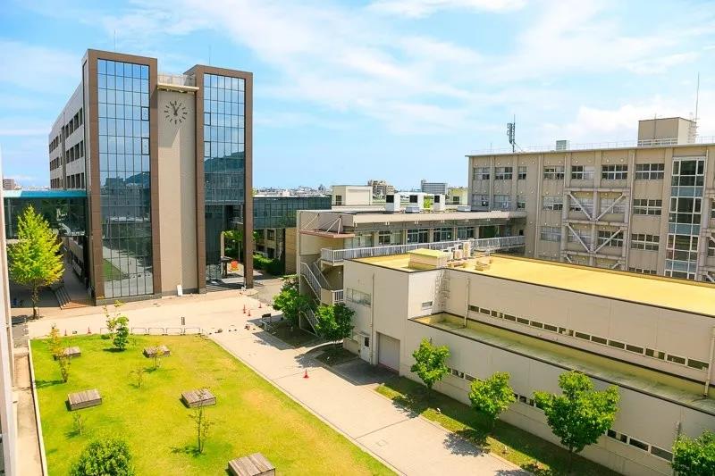 日本新制八大医科大学，各个实力强劲