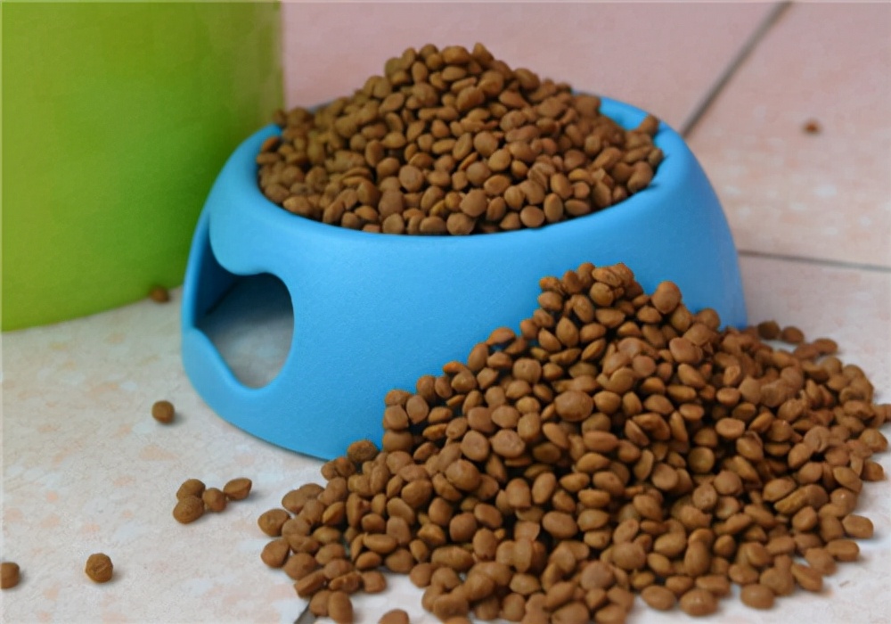 小狗拉稀怎么办吃什么药好？处理拉稀应该采取的4大措施参考