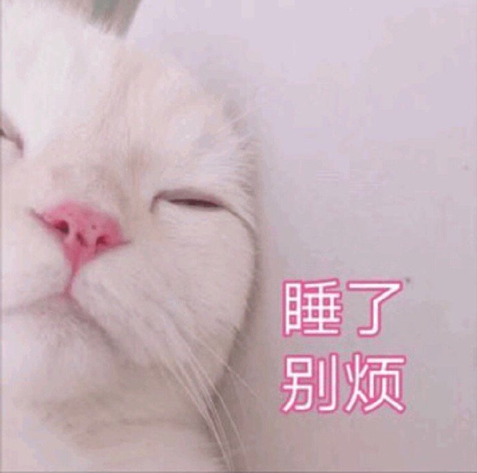 猫咪说晚安表情包