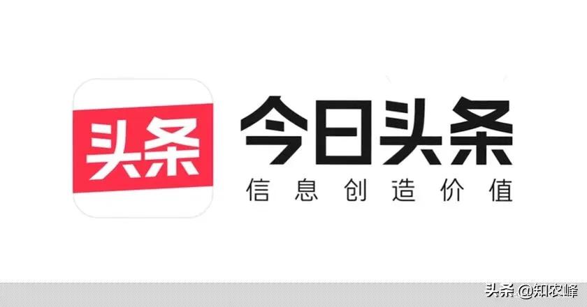 新人不会文章视频，3分钟教会你在今日头条赚钱，适合自媒体小白