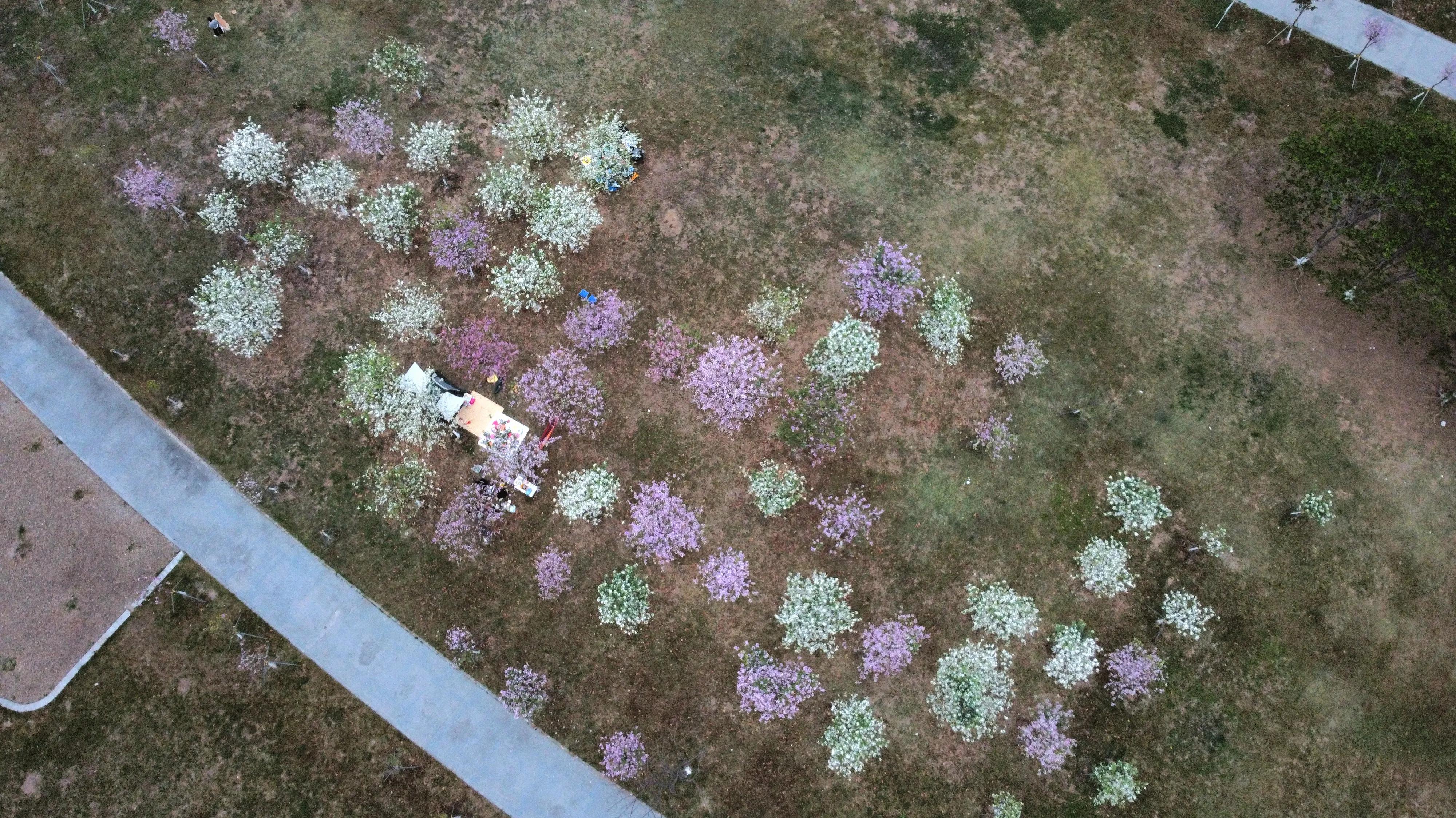 广州航拍圣地——大学城