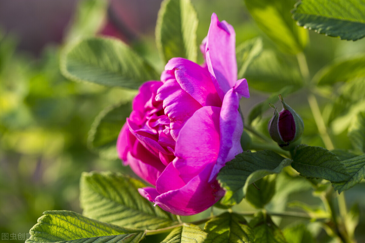 济南大学录取分数线（2021济南大学录取分数）