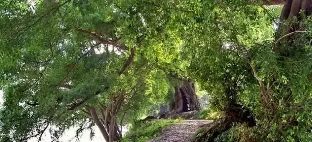 还有9天，贵州人集体放假！85个度假胜地马上安排！