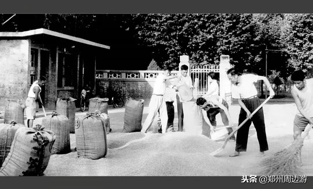 郑州大学工学办学60年(原郑州工学院55年)回顾|郑周友