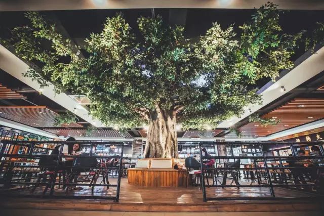 河北高校7大网红餐厅 有你的母校吗