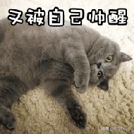 如何将MP4转换为MPG？这个方法超简单