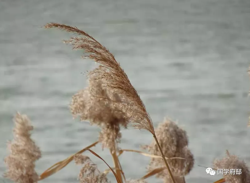 农历八月，遇见最美八月诗词