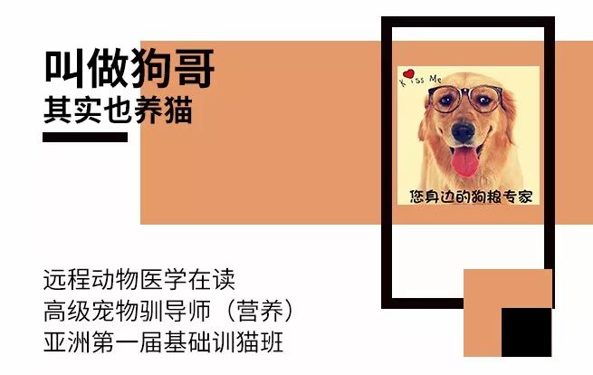 无谷狗粮可能吃出心脏病后，哪些进口粮推荐吃？