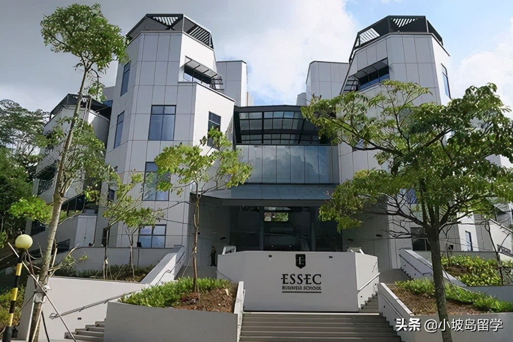 新加坡留学ESSEC | 埃塞克商学院亚太校区及专业申请要求