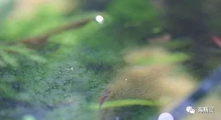 只需几步，简单快速帮你轻松搞定油膜困扰