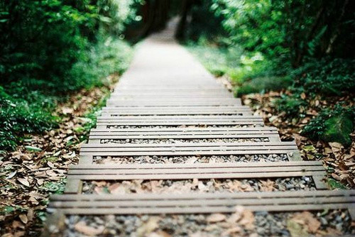 5句带“路”字的诗句(三十功名尘与土是哪首诗)（路的诗文）"