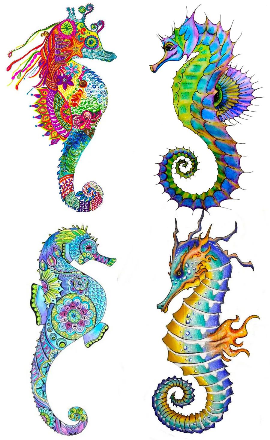 可爱的小海马可爱的小海马图片