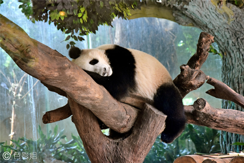 三天三夜欢乐长隆之旅（附攻略）