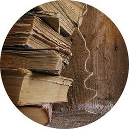 曾老师讲故事：小学语文学习（5）之直接引语与间接引语互换技巧