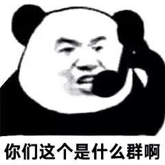 你们这是什么群啊